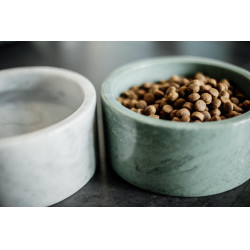 Tigela para cão Mármore Kentucky Verde pinho