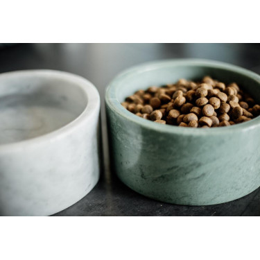 Tigela para cão Mármore Kentucky Verde pinho