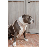 Arnês para cão Active Teddy Fleece Kentucky Bege Arnês para cão Active Teddy Fleece Kentucky Bege