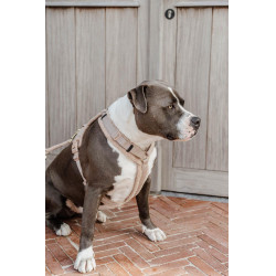 Arnês para cão Active Teddy Fleece Kentucky Bege Arnês para cão Active Teddy Fleece Kentucky Bege