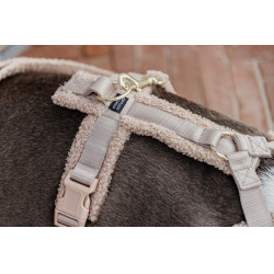 Arnês para cão Active Teddy Fleece Kentucky Bege Arnês para cão Active Teddy Fleece Kentucky Bege
