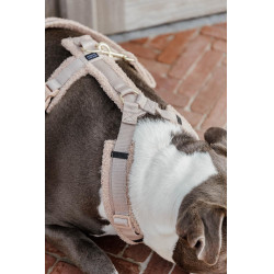 Arnês para cão Active Teddy Fleece Kentucky Bege Arnês para cão Active Teddy Fleece Kentucky Bege