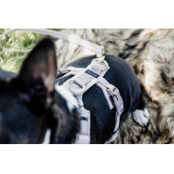 Arnês para cão Active Velvet Kentucky Bege Arnês para cão Active Velvet Kentucky Bege