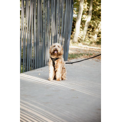 Arnês para cão Active Velvet Kentucky Preto Arnês para cão Active Velvet Kentucky Preto