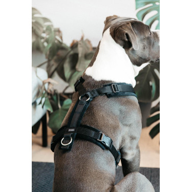Arnês para cão Active Velvet Kentucky Preto Arnês para cão Active Velvet Kentucky Preto
