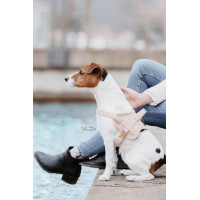 Arnês para cão Body Safe Wool Kentucky Bege