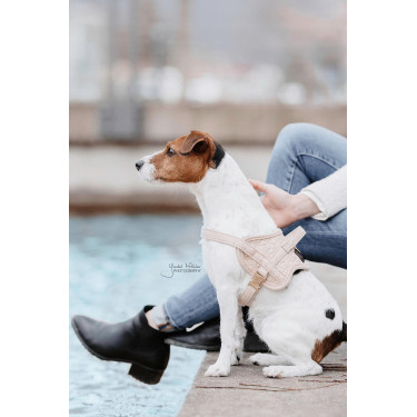 Arnês para cão Body Safe Wool Kentucky Bege Arnês para cão Body Safe Wool Kentucky Bege