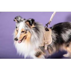 Arnês para cão Body Safe Wool Kentucky Bege Arnês para cão Body Safe Wool Kentucky Bege