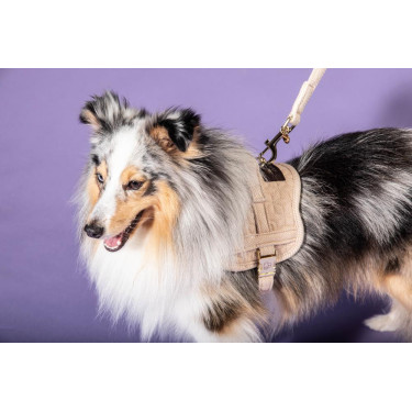 Arnês para cão Body Safe Wool Kentucky Bege Arnês para cão Body Safe Wool Kentucky Bege