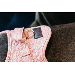 Arnês para cão Body Safe Wool Kentucky Arnês para cão Body Safe Wool Kentucky