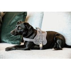 Arnês para cão Body Safe Wool Kentucky Cinzento