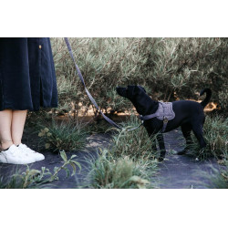 Arnês para cão Body Safe Wool Kentucky Cinzento