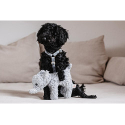 Brinquedo para cão Elefante Elsa Kentucky