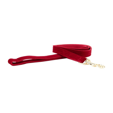 Trela para cão Corduroy Kentucky Vermelho