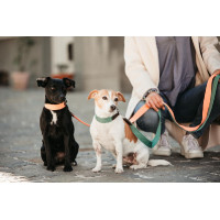 Trela para cão Jacquard Kentucky Laranja néon Trela para cão Jacquard Kentucky Laranja néon