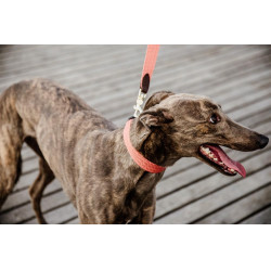 Trela para cão Jacquard Kentucky Terracota Laranja