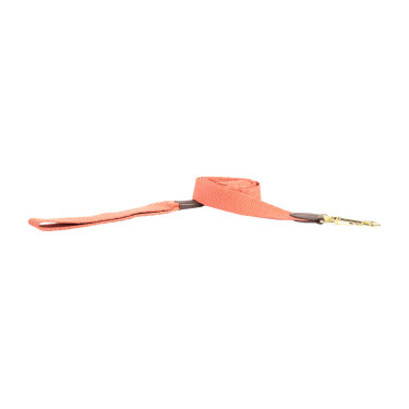 Trela para cão Jacquard Kentucky Terracota Laranja