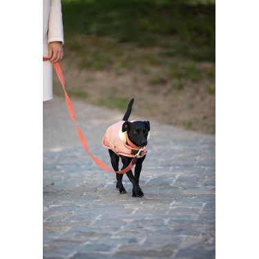 Trela para cão Jacquard Kentucky Terracota Laranja