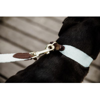 Trela para cão Jacquard Kentucky Laranja néon
