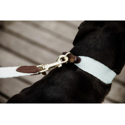 Trela para cão Jacquard Kentucky Azul claro Trela para cão Jacquard Kentucky Azul claro