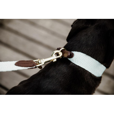 Trela para cão Jacquard Kentucky Azul claro Trela para cão Jacquard Kentucky Azul claro