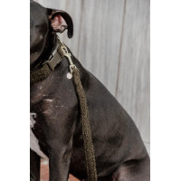 Trela para cão Teddy Fleece 120 cm Kentucky Verde pinho