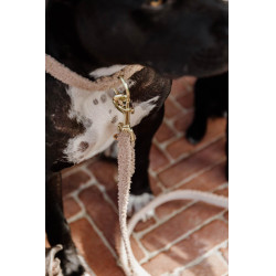 Trela para cão Teddy Fleece 120 cm Kentucky Trela para cão Teddy Fleece 120 cm Kentucky
