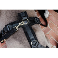 Trela para cão Teddy Fleece 120 cm Kentucky Bege