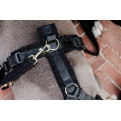 Trela para cão Teddy Fleece 120 cm Kentucky Preto Trela para cão Teddy Fleece 120 cm Kentucky Preto