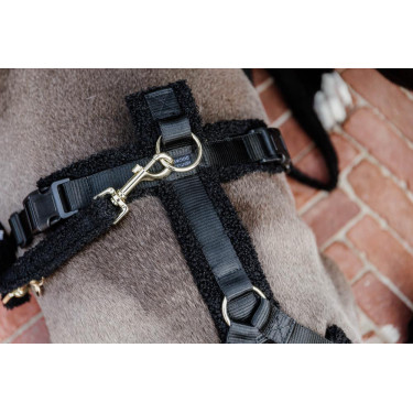 Trela para cão Teddy Fleece 120 cm Kentucky Preto Trela para cão Teddy Fleece 120 cm Kentucky Preto