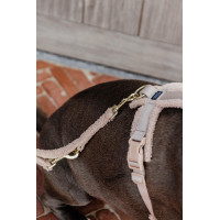 Trela para cão Teddy Fleece 200 cm Kentucky Verde pinho Trela para cão Teddy Fleece 200 cm Kentucky Verde pinho