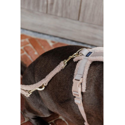 Trela para cão Teddy Fleece 200 cm Kentucky Bege
