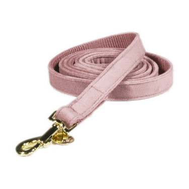 Coleira para cão Velvet 120 cm Kentucky Rosa velho