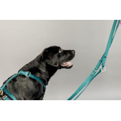 Guia para cão Velvet 200 cm Kentucky Esmeralda Verde Guia para cão Velvet 200 cm Kentucky Esmeralda Verde