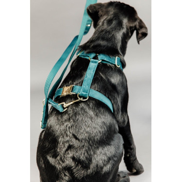 Guia para cão Velvet 200 cm Kentucky Esmeralda Verde Guia para cão Velvet 200 cm Kentucky Esmeralda Verde