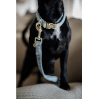 Trela para cão Wool Longa Kentucky Azul claro