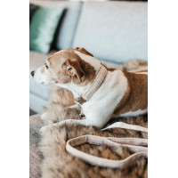 Trela para cão Wool Longa Kentucky Azul claro