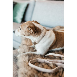 Trela para cão Wool Longa Kentucky Bege