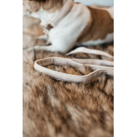 Trela para cão Wool Longa Kentucky Azul claro