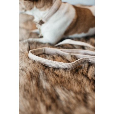 Trela para cão Wool Longa Kentucky Bege