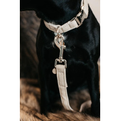 Trela para cão Wool Longa Kentucky Bege