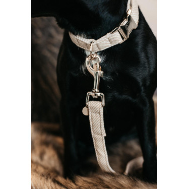 Trela para cão Wool Longa Kentucky Bege