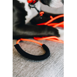 Laisse Soft Rubber Kentucky Laranja néon Laisse Soft Rubber Kentucky Laranja néon