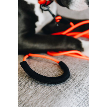 Laisse Soft Rubber Kentucky Laranja néon Laisse Soft Rubber Kentucky Laranja néon