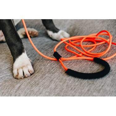 Laisse Soft Rubber Kentucky Laranja néon Laisse Soft Rubber Kentucky Laranja néon
