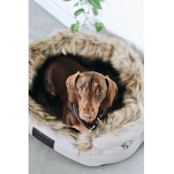 Cama para cão Cave Kentucky Castanho