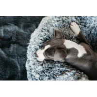 Cama confortável tipo Donut para cão Kentucky Cinzento