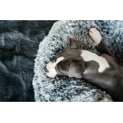 Cama confortável tipo Donut para cão Kentucky Cama confortável tipo Donut para cão Kentucky
