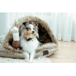 Cama para cão Igloo Kentucky