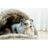 Cama para cão Igloo Kentucky Castanho